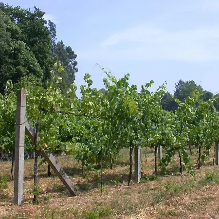 Quinta Da Tapada Lousada