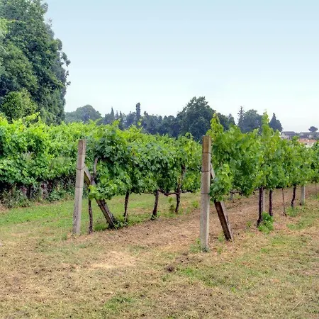 Quinta Da Tapada Lousada