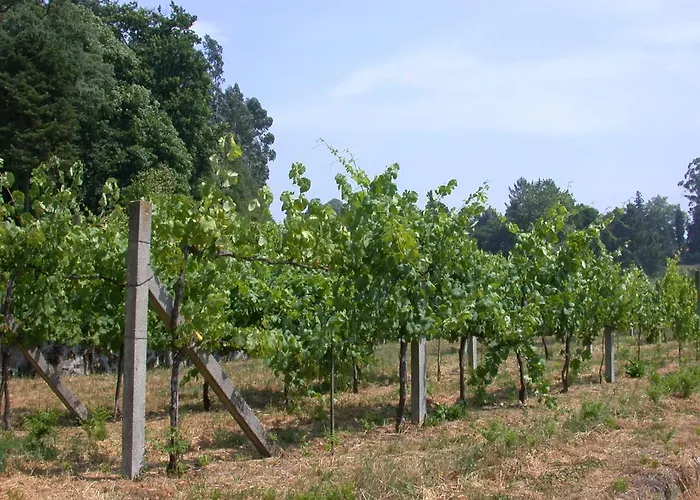 Quinta Da Tapada Lousada