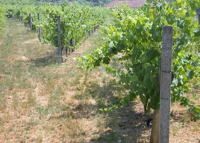 Quinta Da Tapada Hotel