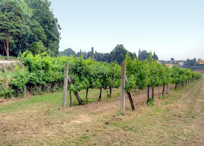 Quinta Da Tapada Lousada